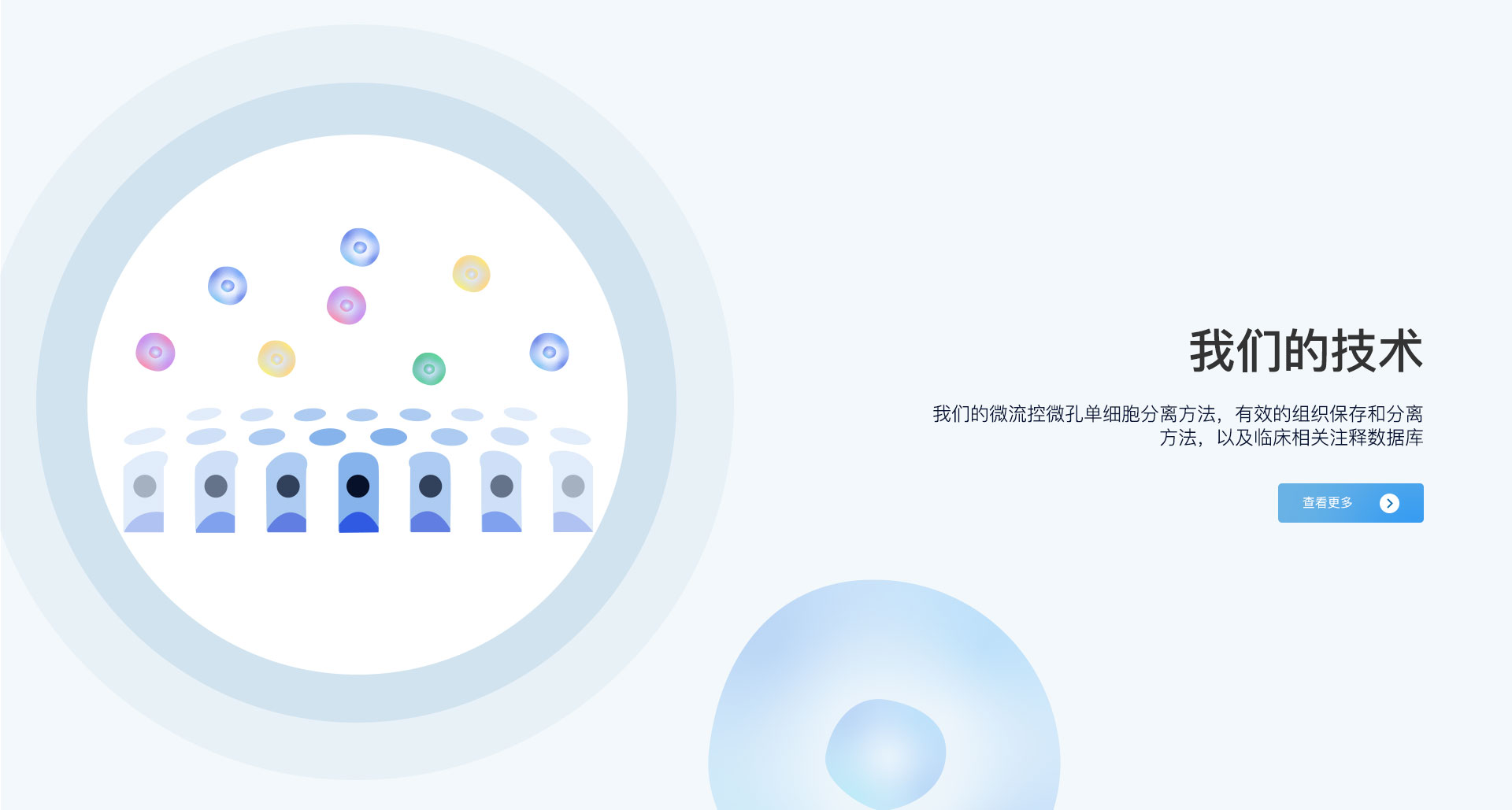 新格元