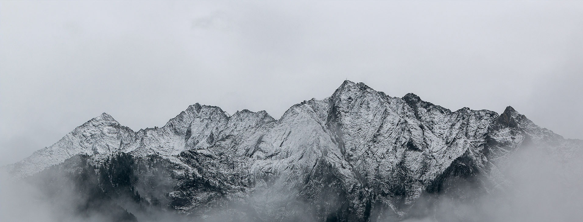 我们的愿景